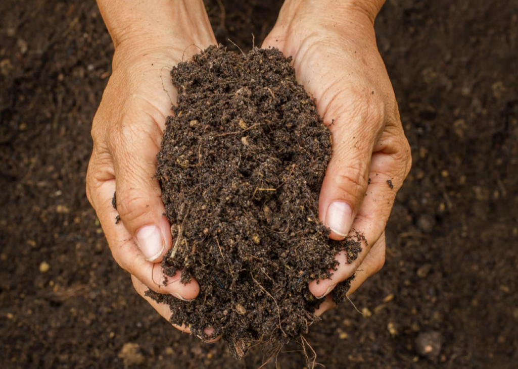 Fine Screen Compost