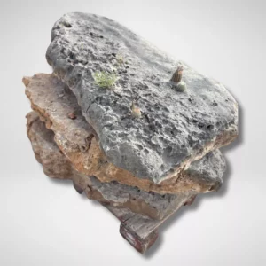 Pancake Boulder | Flat Decorative Rock for Landscaping in Houston