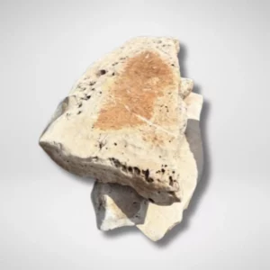 Weathered Boulder | Natural Rock for Rustic Landscaping in Houston