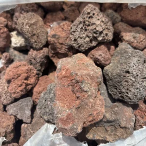 Bagged Volcanic Rock 1" - H278187